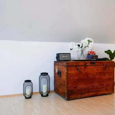 Helles Im Zentrum Apartment Graz