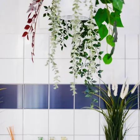 Апартаменти Cozy Center - Near - Schlossberg View - By Casa Momo