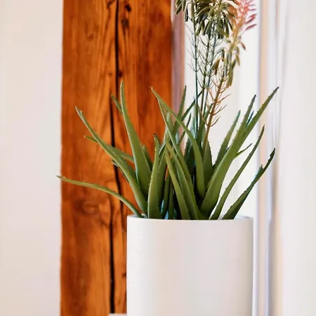 Apartment Helles Im Zentrum *
