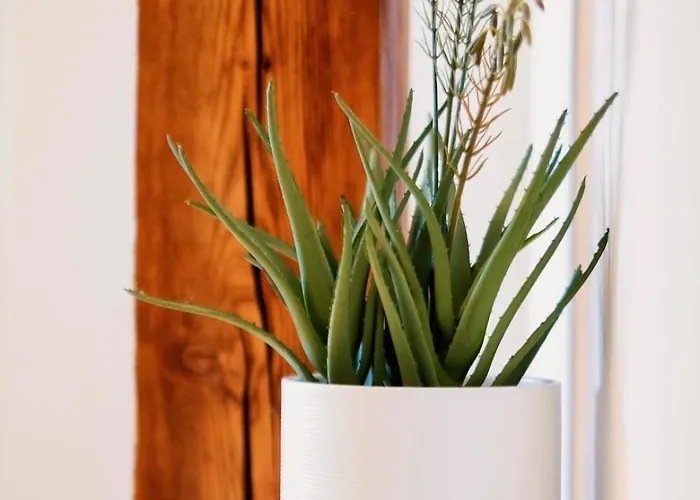 Апартаменты Cozy Center - Near - Schlossberg View - By Casa Momo *